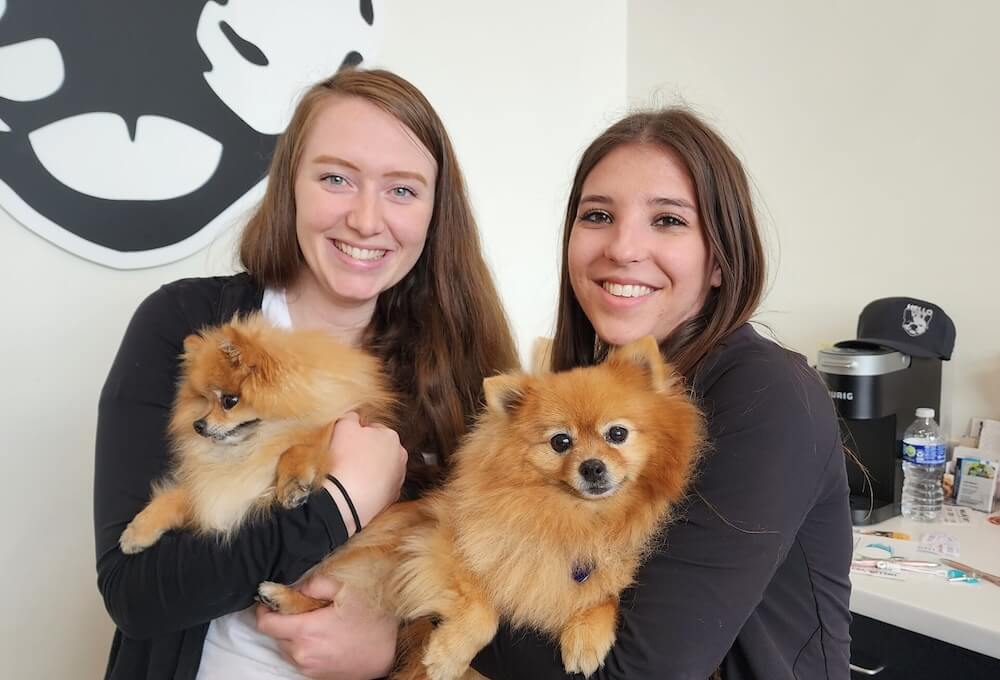 about Hello Vet Pet Wellness Center