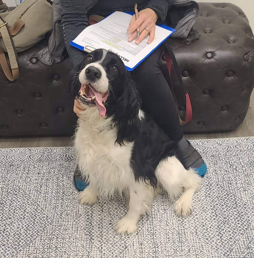 veterinary clinic in Corvallis OR